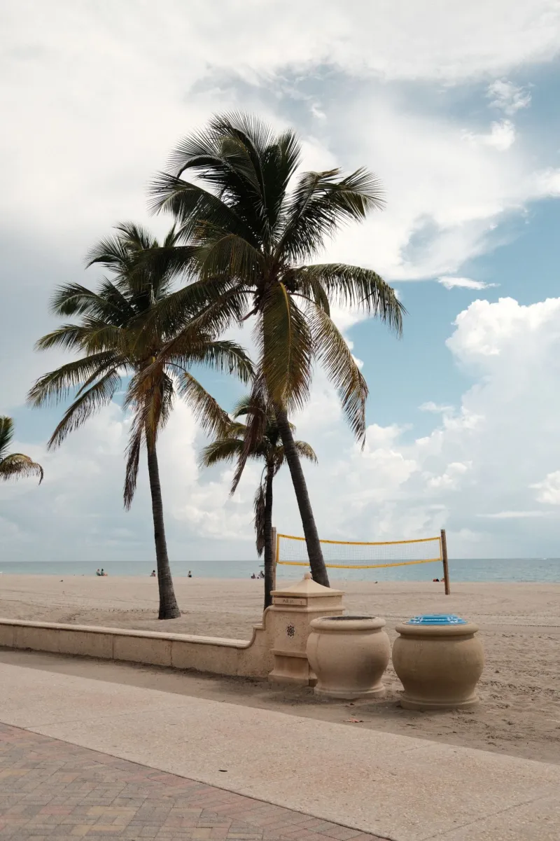 Palm trees leaning over a beach promenade, a volleyball net and stone planters under a bright cloudy sky.