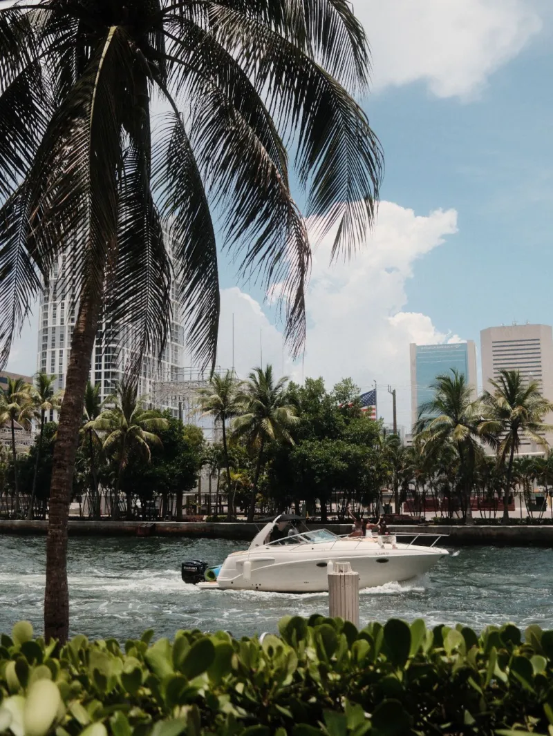 A white motorboat cutting across a city waterway, framed by a palm tree and towers under summer clouds.