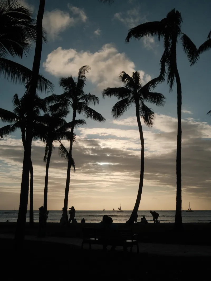 Tall palm silhouettes against a blue evening sky, sailboats on the horizon and people on the beach below.