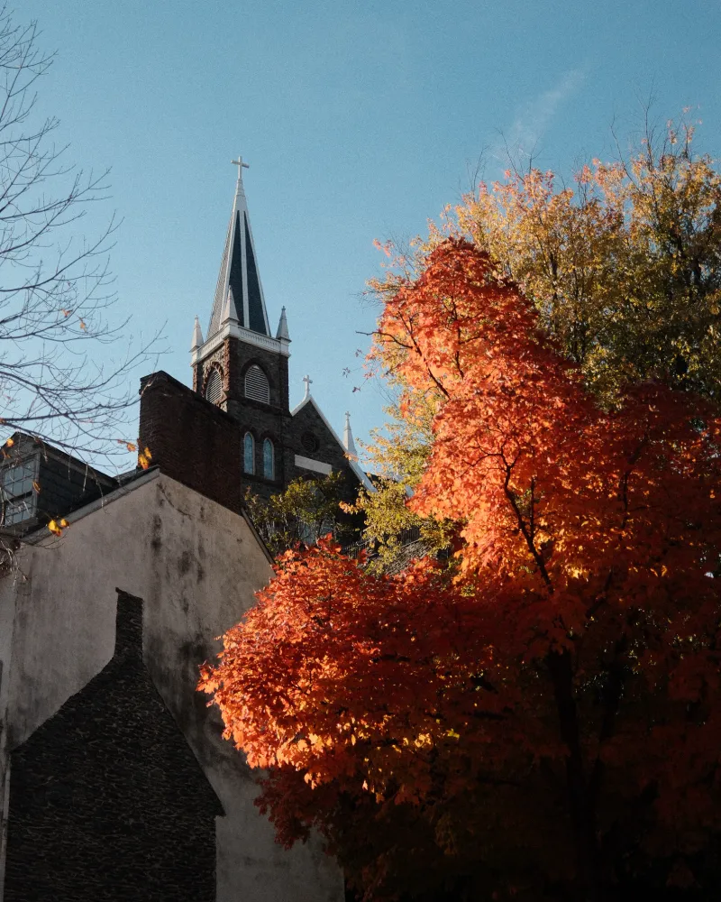 A church steeple against a clear blue sky, behind a tree blazing orange with autumn leaves.
